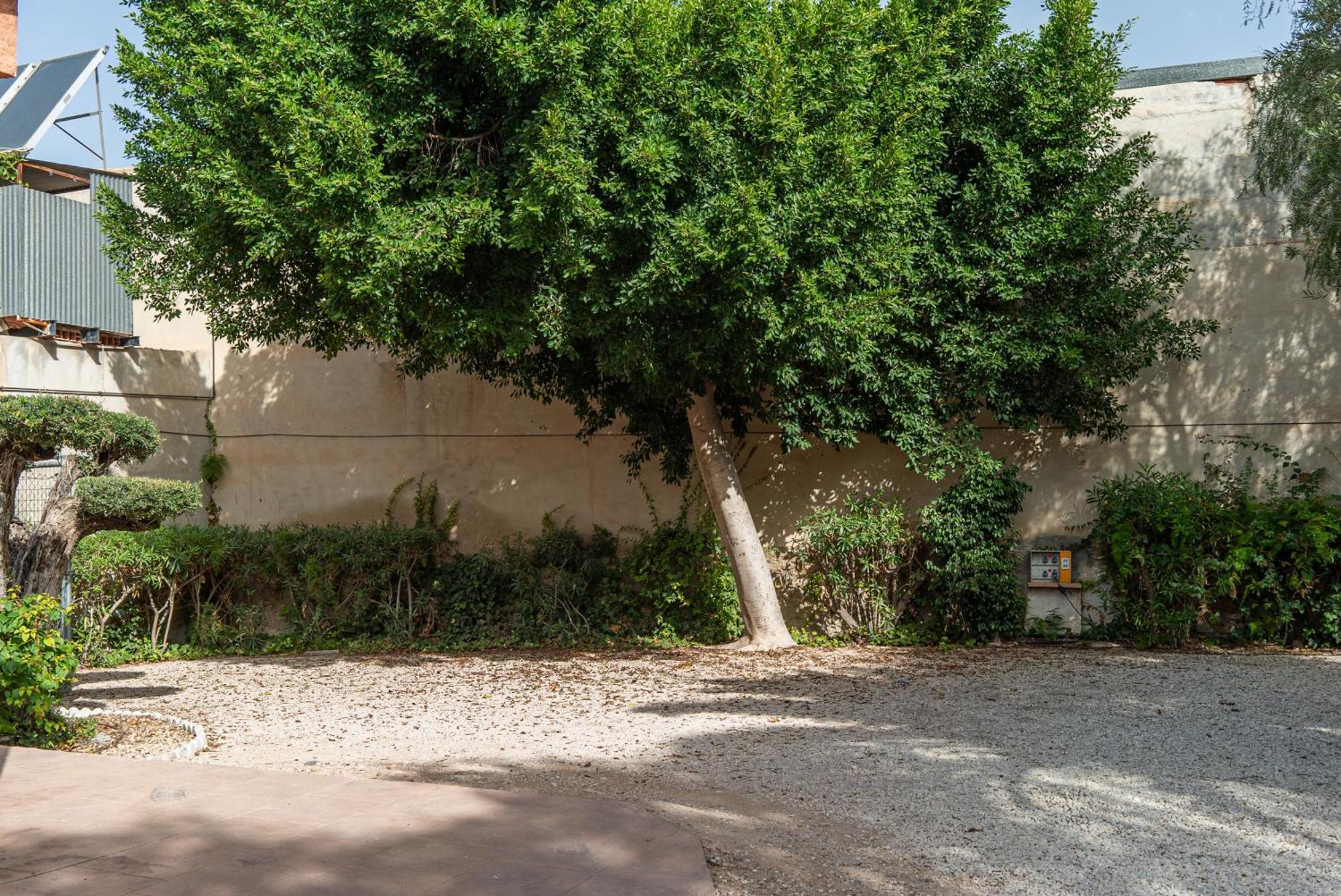 Camping Las Palmeras Crevillent Kültér fotó