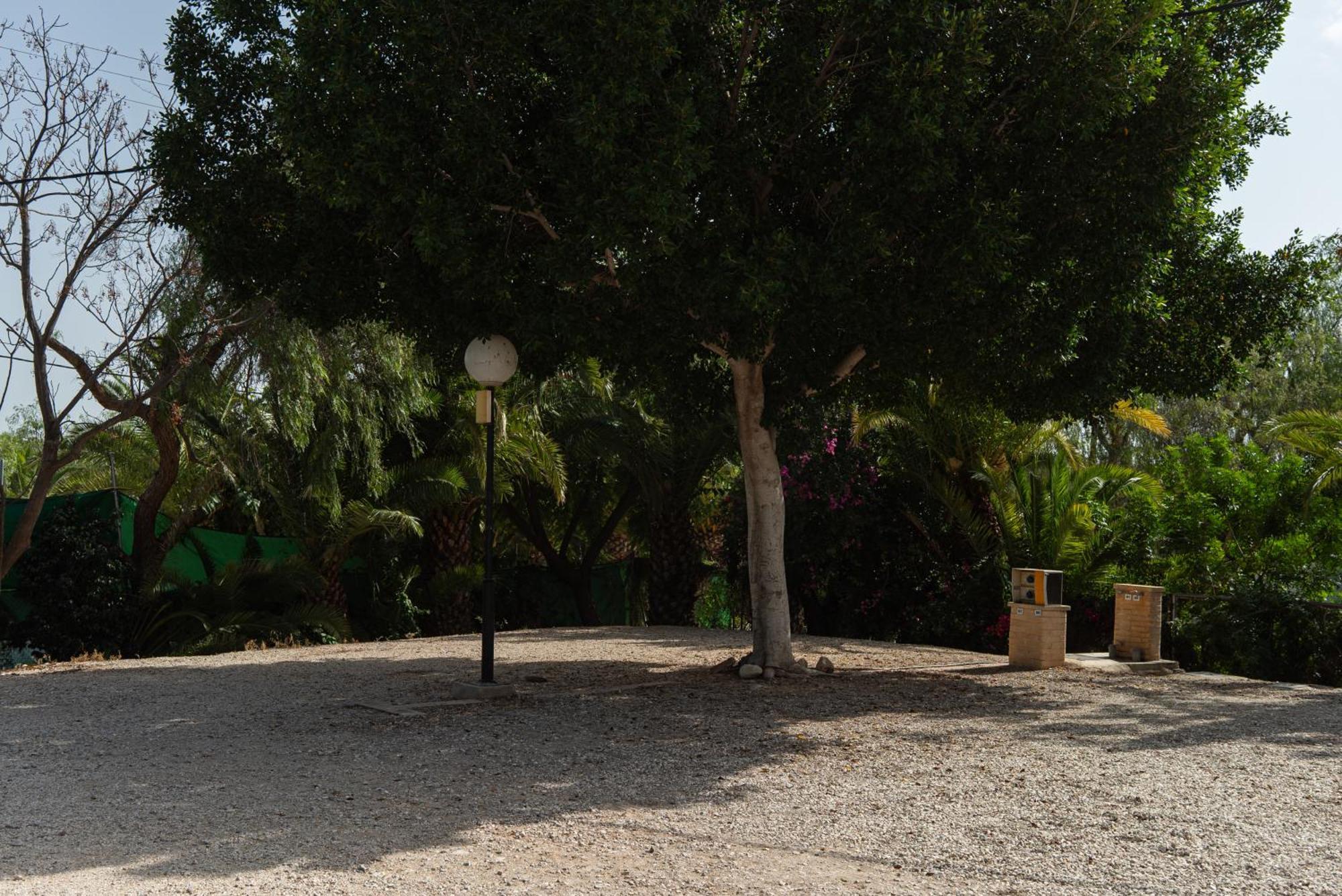 Camping Las Palmeras Crevillent Kültér fotó